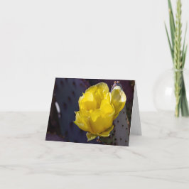 Blinka Cactus Blommar Blank Card Tack Kort
