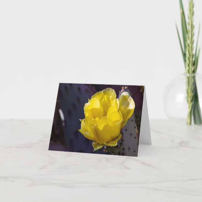 Blinka Cactus Blommar Blank Card Tack Kort (Framsida)