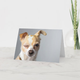 Blinka Chihuahuahälsningkortet Kort