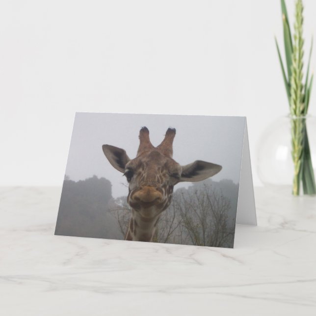 Blinka giraffet kort (Framsida)