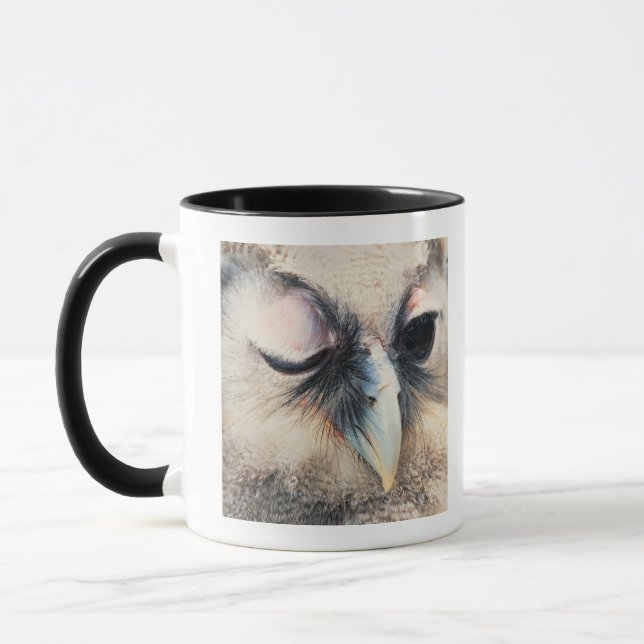 Blinka ugglan mugg (Vänster)