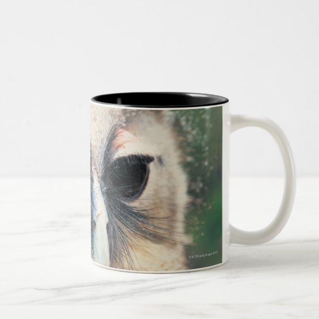 Blinka ugglan Två-Tonad mugg (Höger)