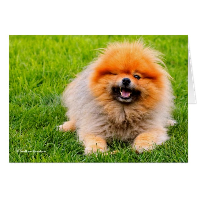 Blinkande Skrattande Rolig Hund Hälsningskort (Framsidan Horizontal)