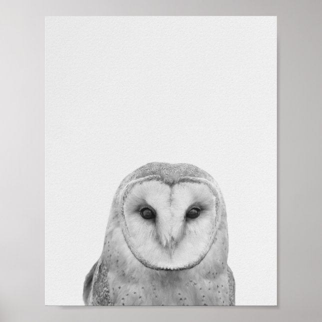 Blinky uggla poster (Framsidan)