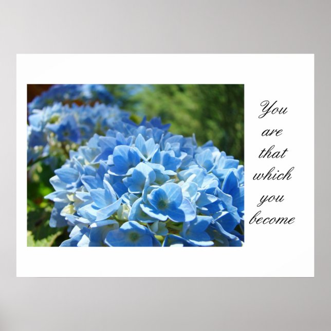 Blir konsttryck Blå Hortensia Blommor Natur Poster (Framsidan)