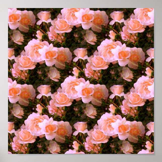 Bliss från Vår.... Poster (Framsidan)