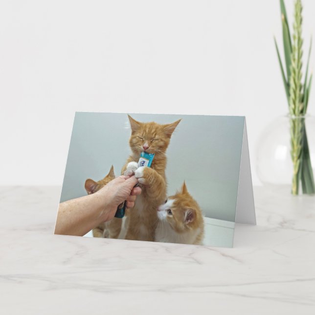 "Bliss" - Huey och hans favoritbehandling Kort (Framsida)