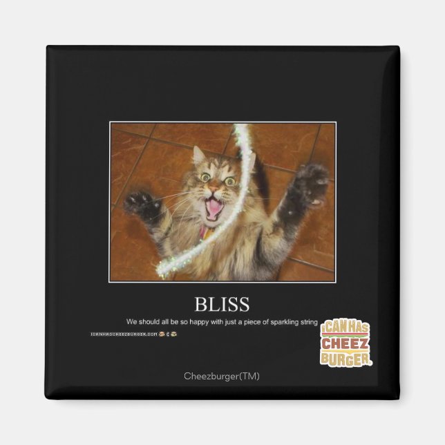 Bliss Magnet (Framsidan)