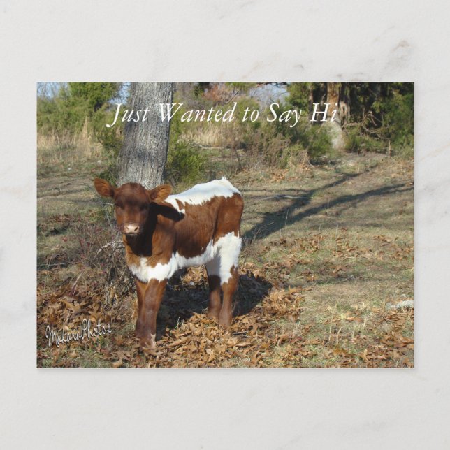 Bliss Postcard-anpassa Vykort (Framsida)