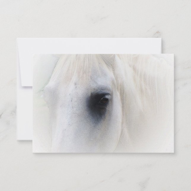 Blissful Horse (Framsida)
