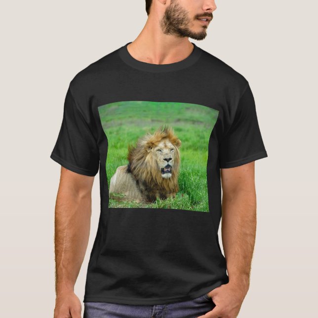 "Blissful Lejon Rest Tee" T Shirt (Framsida)