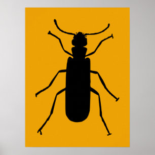 Blister Beetle Silhouette Poster