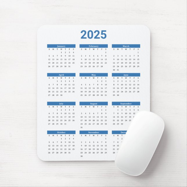 Bliue and White 2025 Year at a Glance Calendar Musmatta (Med mus)