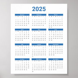 Bliue and White 2025 Year at a Glance Calendar Poster