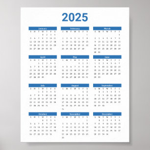 Bliue and White 2025 Year at a Glance Calendar Poster