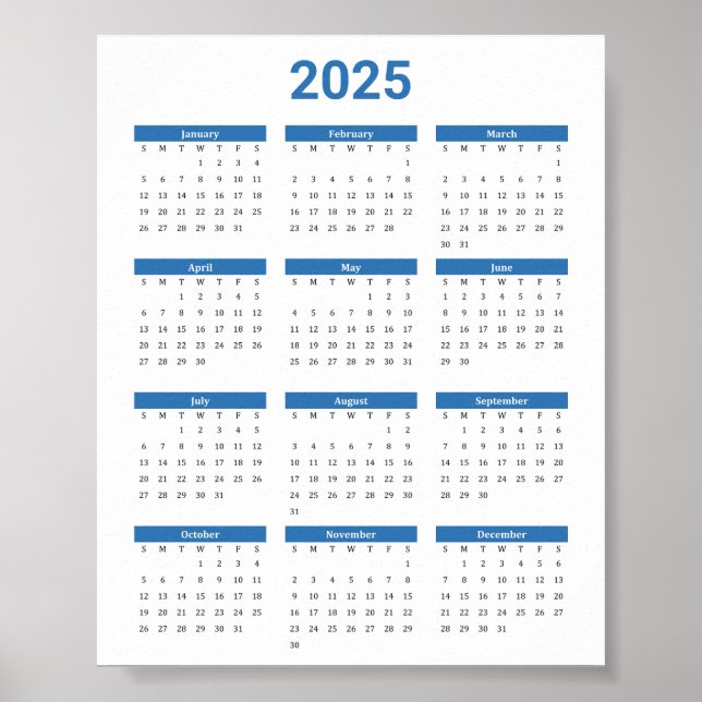 Bliue and White 2025 Year at a Glance Calendar Poster (Framsidan)