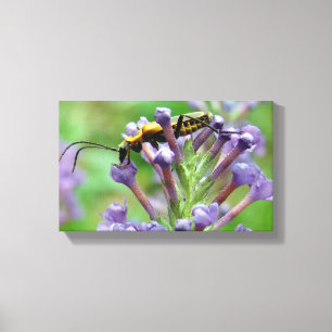 Blixten! Canvastryck