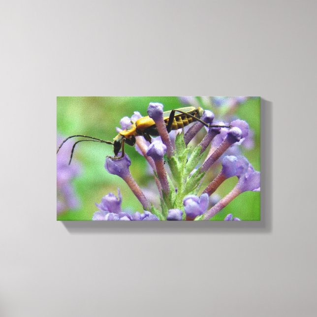 Blixten! Canvastryck (Framsida)