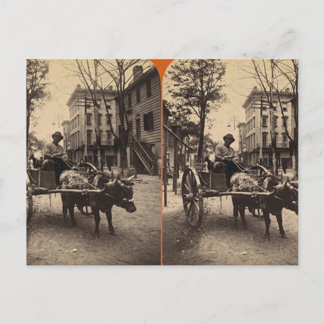 Blixten Express, Savannah, Ga c. 1886 Vykort (Framsida)