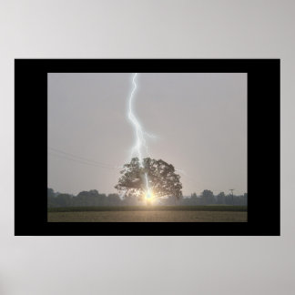 Blixten Strejka Oak Träd Poster