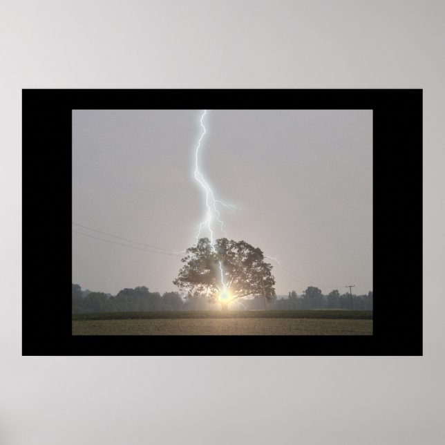 Blixten Strejka Oak Träd Poster (Framsidan)