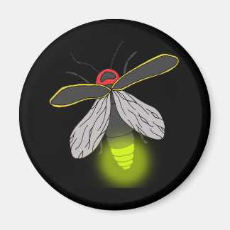 Blixtflygning med kryp magnet