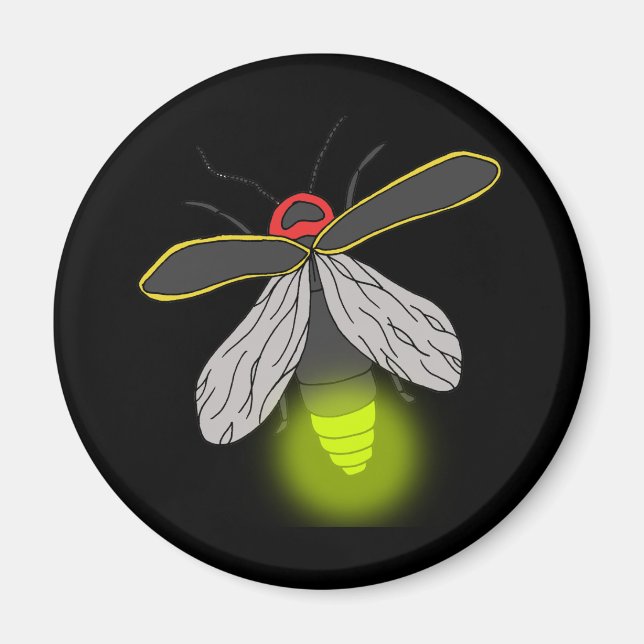 Blixtflygning med kryp magnet (Framsidan)