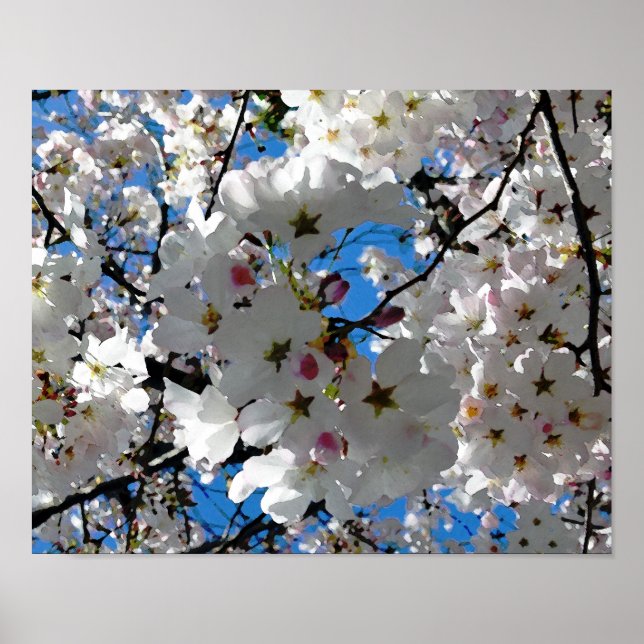 Blixtstarka Blommar Poster (Framsidan)