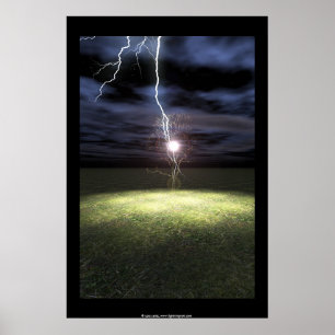 Blixtstrejkor ett träd poster
