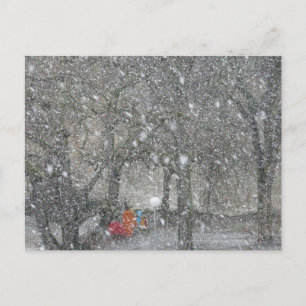 Blizzardskogen Vykort