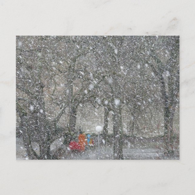 Blizzardskogen Vykort (Framsida)