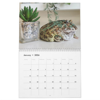 Blobbi Pacman Frog Calendar Kalender