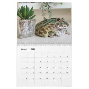 Blobbi Pacman Groda Kalender
