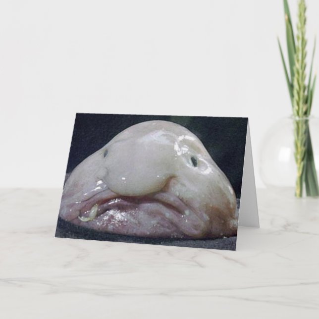 Blobfish Kort (Framsida)