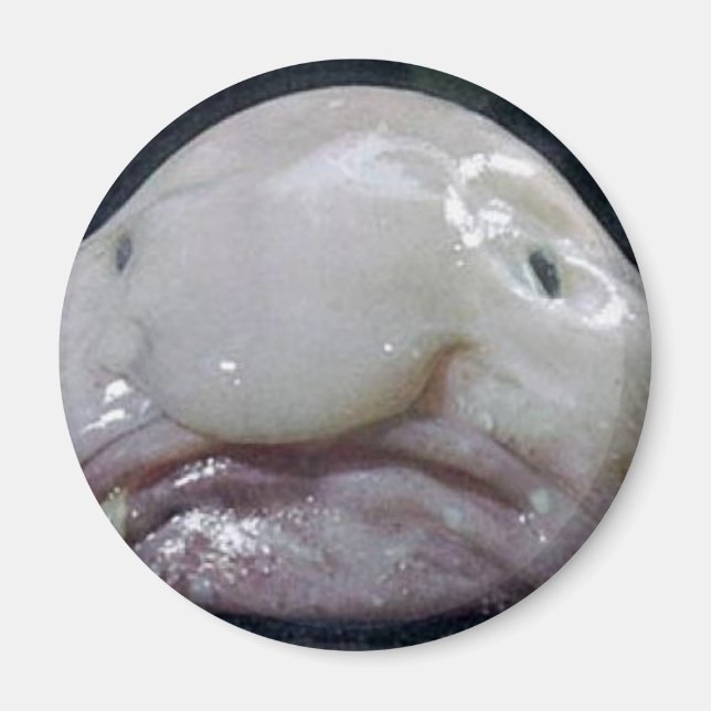 Blobfish Magnet (Framsidan)