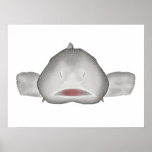 Blobfisk