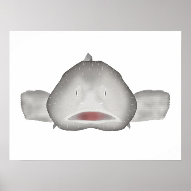Blobfisk Poster (Framsidan)