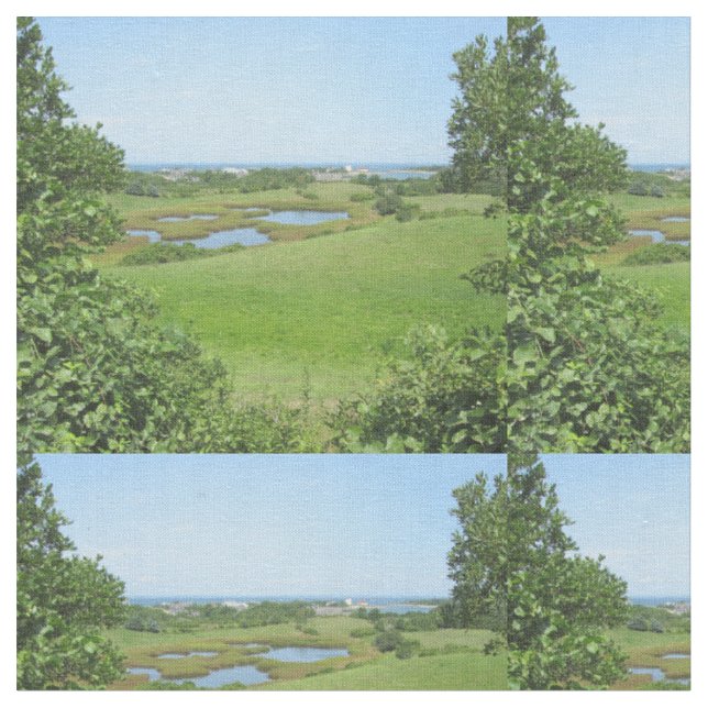 Block Island Champlin Road Meadow Tyg (Närbild)