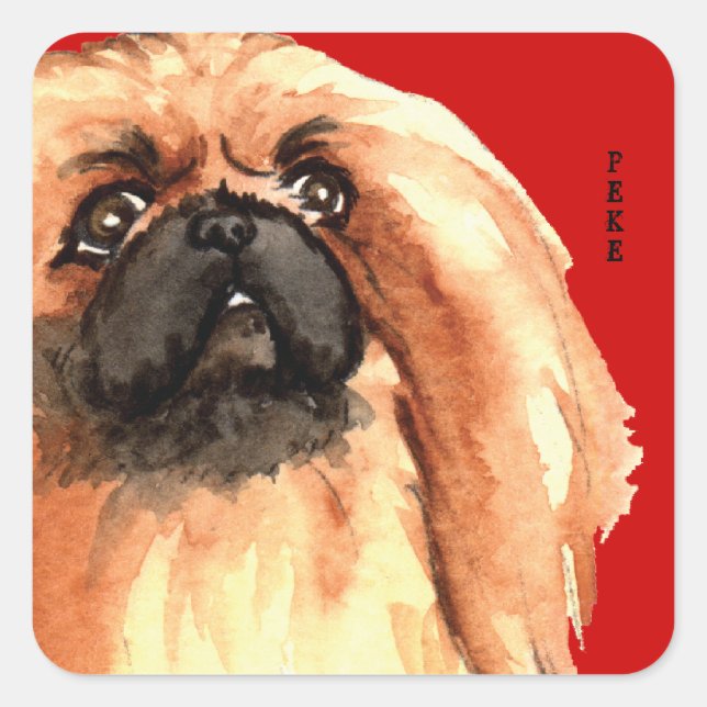 Block Pekingese Färg Fyrkantigt Klistermärke (Framsida)