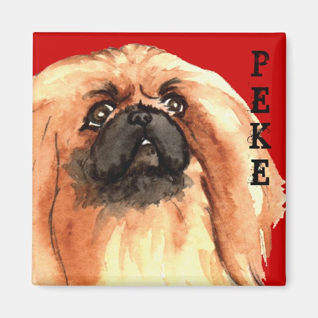 Block Pekingese Färg Magnet (Framsidan)