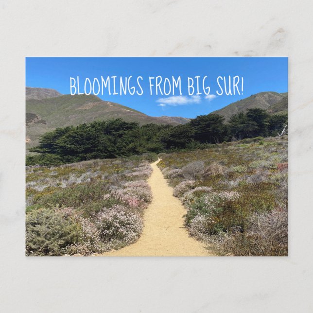 Blockar från Big Sur! Vykort (Framsida)