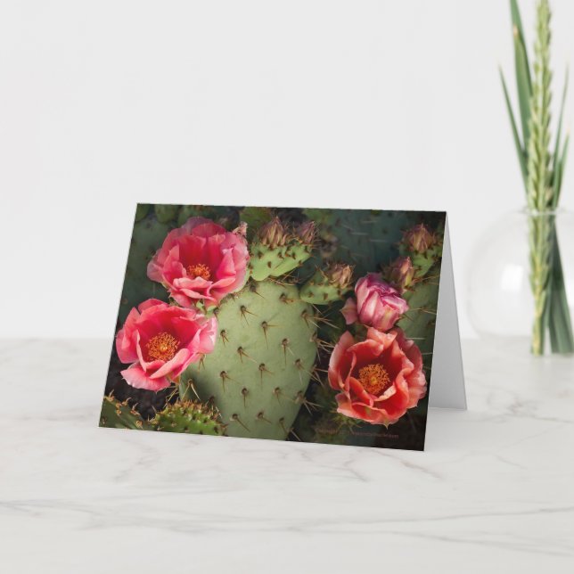 Blockera Cactus Personlig Greeting Card Kort (Framsida)