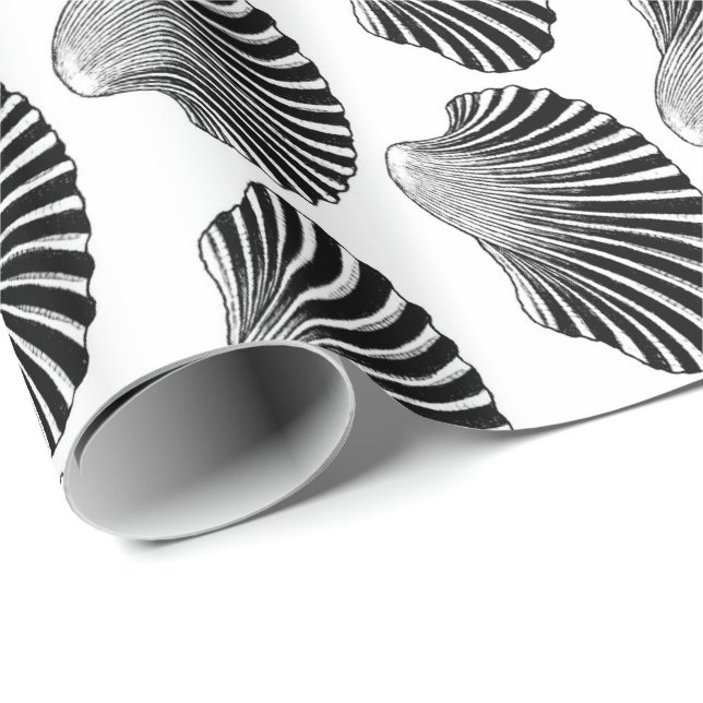 Blockera Snäcka i Scallop, skriv ut, svartvitt Presentpapper (Rullad Hörn)
