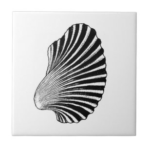 Blockera utskrift, svartvitt för Scallop-Snäcka Kakelplatta