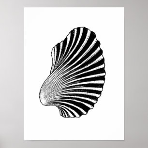 Blockera utskrift, svartvitt för Scallop-Snäcka Poster