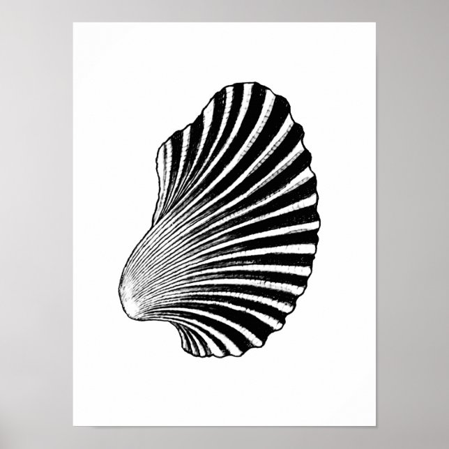 Blockera utskrift, svartvitt för Scallop-Snäcka Poster (Framsidan)