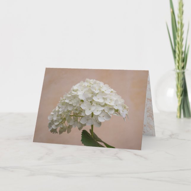 Blockerande Vänskap - filippinare 1:3-anteckningsk Kort (Framsida)