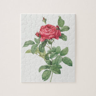 Blockering av blommande Vintage i ro Gamla illustr Pussel