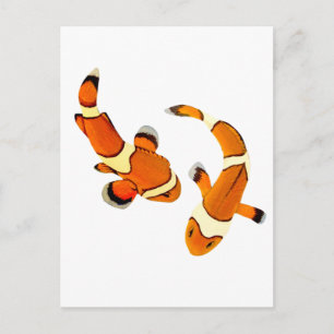 Blockering av clownfish vykort