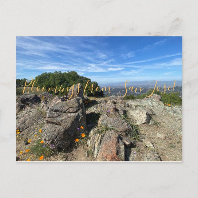 Blockeringar från San Jose! Vykort (Framsida)